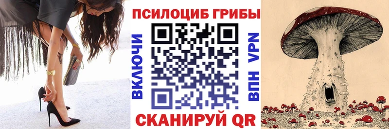 KRAKEN ТОР  Краснокамск  Псилоцибиновые грибы Magic Shrooms 